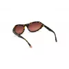 WEB EYEWEAR Naiste päikeseprillid WE0288-6052F Havana hall gradient 60/18/125 mm