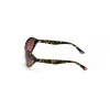 WEB EYEWEAR Naiste päikeseprillid WE0288-6052F Havana hall gradient 60/18/125 mm