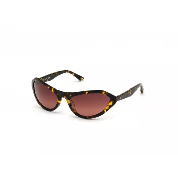 WEB EYEWEAR Naiste päikeseprillid WE0288-6052F Havana hall gradient 60/18/125 mm