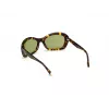 WEB EYEWEAR naiste päikeseprillid WE0289-5652N Havana atsetaat ruudukujulise raamiga pruuni gradiendi läätsedega 56/19/130 mm