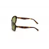 WEB EYEWEAR naiste päikeseprillid WE0289-5652N Havana atsetaat ruudukujulise raamiga pruuni gradiendi läätsedega 56/19/130 mm