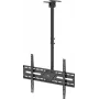 WENTRONIC Goobay TV lae kinnitus XL 80175