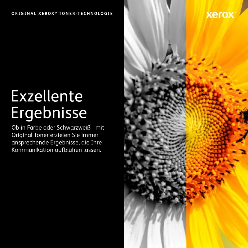 Xerox Phaser 3435 Must originaaltoonerikassett suure mahutavusega 10000 lehekülge