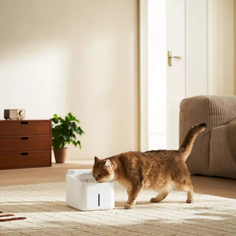 Xiaomi Smart Pet Fountain 2 - 2L automaatne kassi- ja koeraveeautomaat neljakordse filtreerimise, rakenduse juhtimise ja vaikse pumbaga, valge